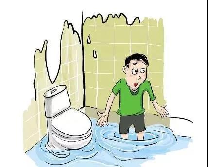 裝修，為什么選擇三葉石裝飾？